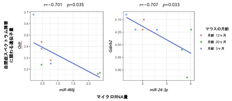 老化で精子の遺伝子制御が変化、子の神経発達障害リスクに 東北大（Science Portal） - Yahoo!ニュース