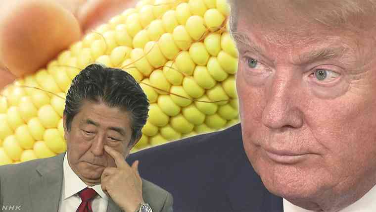 「トウモロコシ、アベが全部買う！」の真相とは | 特集記事 | NHK政治マガジン