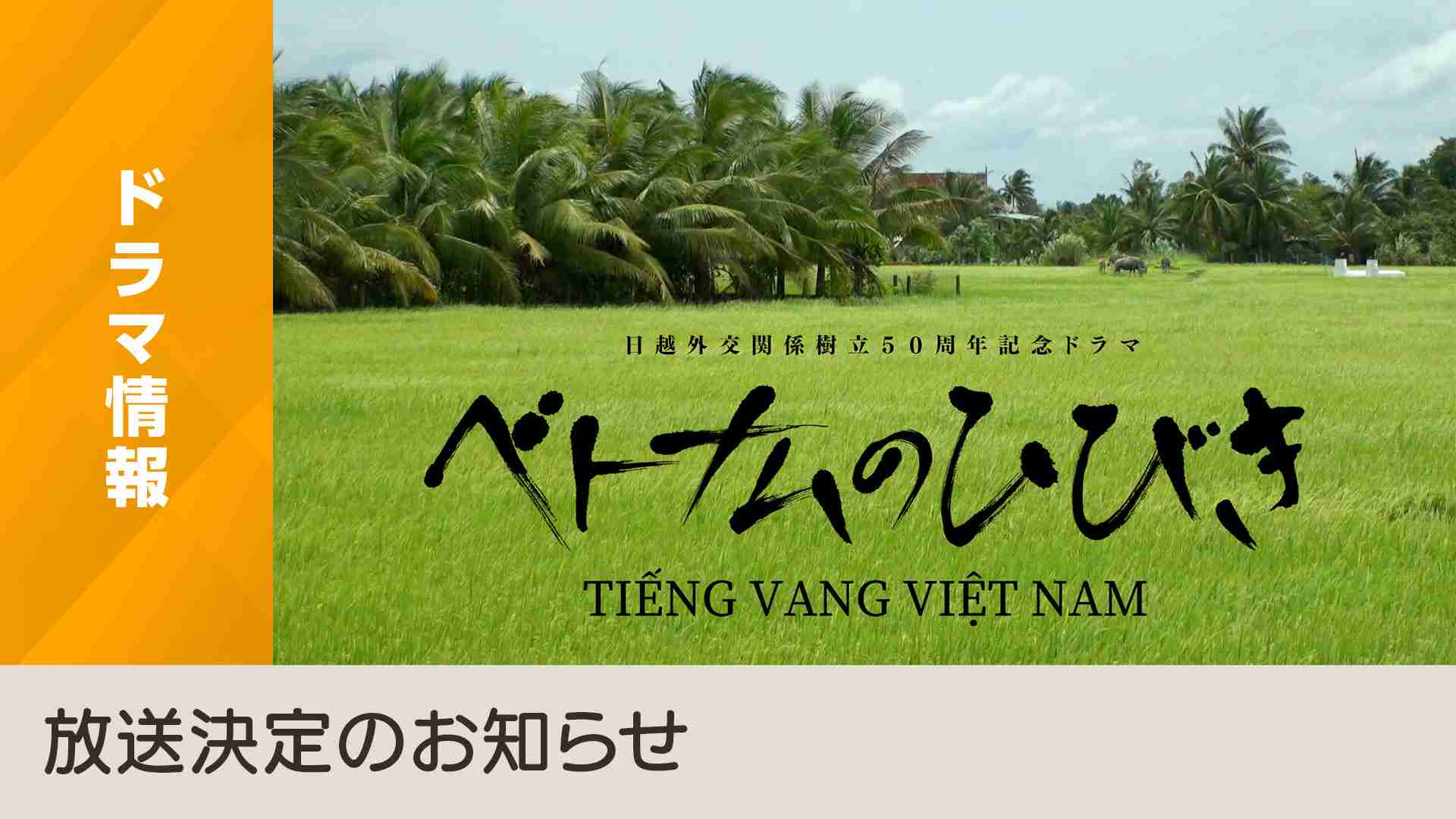 日越外交関係樹立５０周年記念ドラマ「ベトナムのひびき」放送決定のお知らせ - NHK
