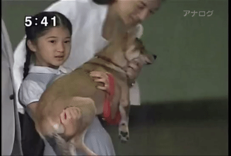 牧場が好きな人