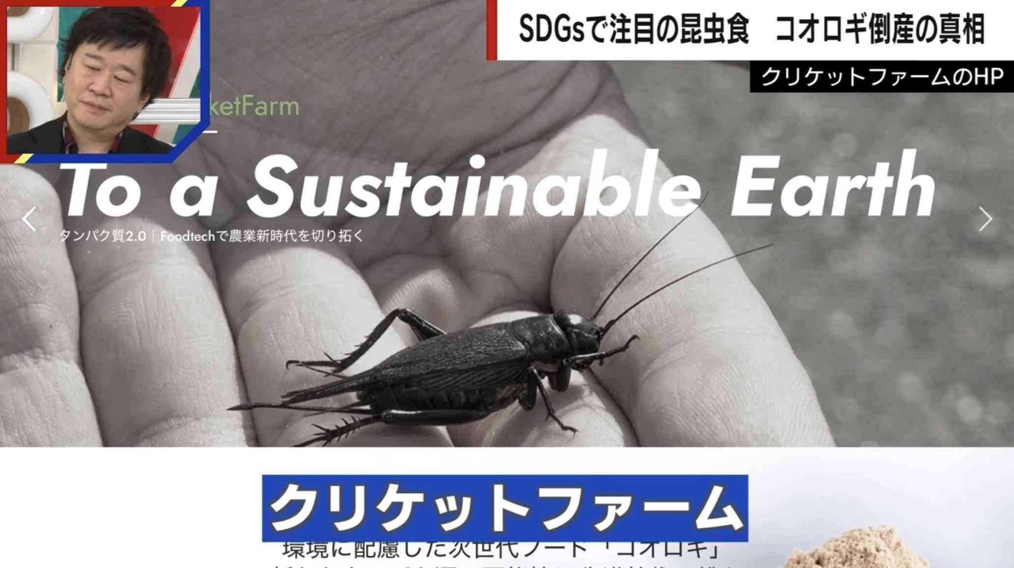 【独自】食用コオロギの会社が破産…その真相とは 経済ジャーナリストが分析「SDGsというきれい事だけではビジネスはできない。ベンチャー投資ブームが終わった」（ABEMA TIMES） - Yahoo!ニュース