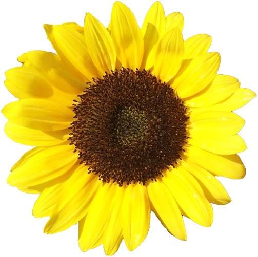 濱岡稔＠六月のイカロス on Twitter: 