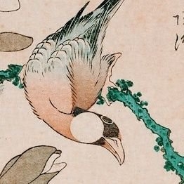 文鳥? on Twitter: 