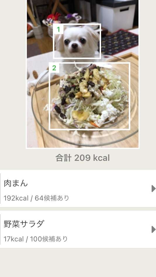 社長の顔を「肉まん」、柴犬を「トースト」と誤認識　食生活記録アプリが謝罪もツッコミの嵐　「おもろい」「声出して笑った」