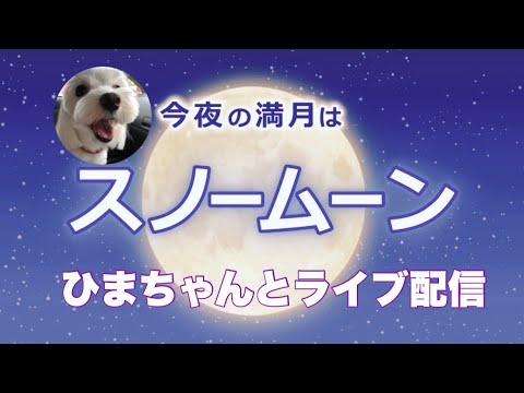 2024.2/24 ひまちゃんに聞くこの世の仕組み - YouTube
