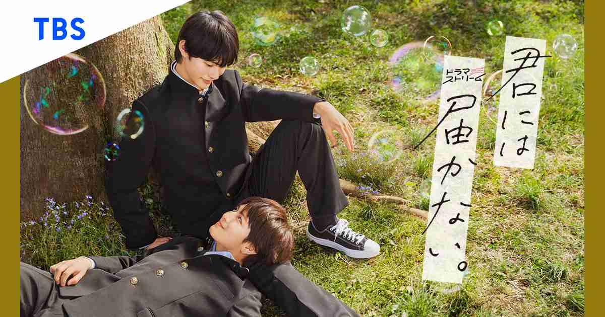 ドラマストリーム『君には届かない。』｜TBSテレビ
