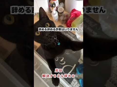 【お願い】今すぐ辞めてくれ！！！#辞めて - YouTube