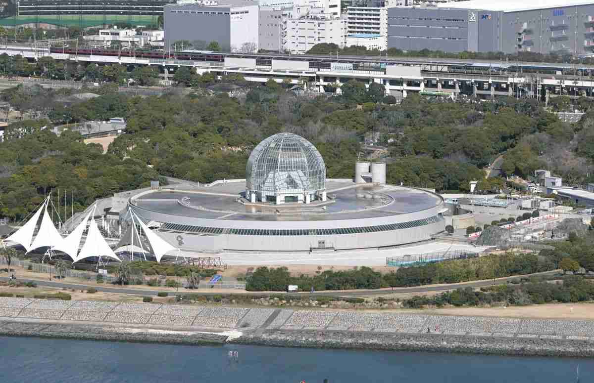木を600本も切る東京都の計画は「自然との共存」なのか　葛西臨海水族館の建て替え「配慮の形跡がない」：東京新聞 TOKYO Web