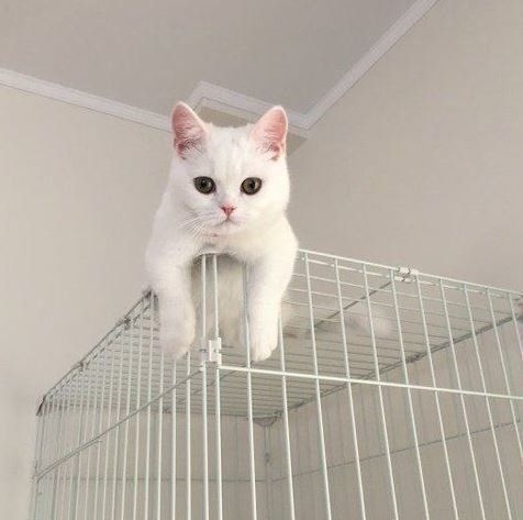 平日の社員旅行