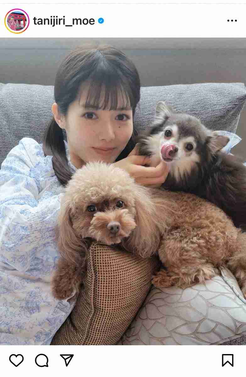 29歳差婚の谷尻萌　「めざましテレビ」卒業　夫はサンド所属事務所社長「とても幸せでした」― スポニチ Sponichi Annex 芸能