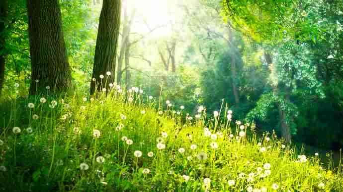  生まれてきたくなかった人集合part2