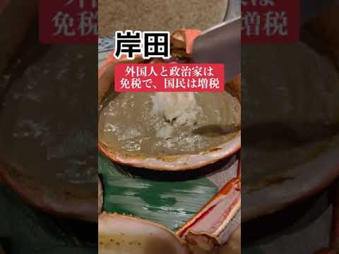 「外国人は免税、政治家は脱税、国民は増税」 - YouTube