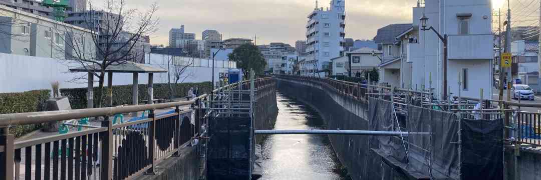 なぜ埼玉県民は“ほぼ東京”を主張するのか…県内でも“東京度”を張り合う「ふしぎな現象」の正体（鈴木 伸子） | マネー現代 | 講談社