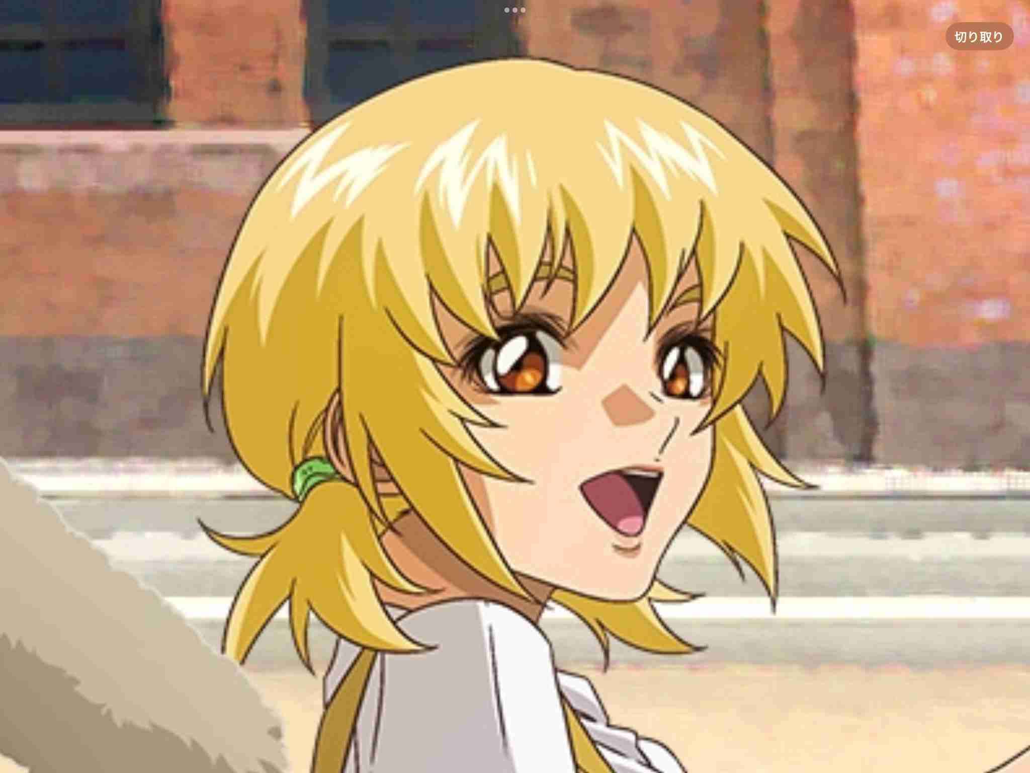 大ヒット御礼　カガリを愛でるトピ　ガンダムSEED