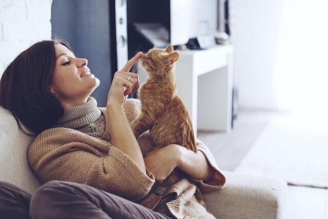 猫系男子の扱い方とは？知っておきたい猫系男子の扱い方７つ(会員限定) - ローリエプレス