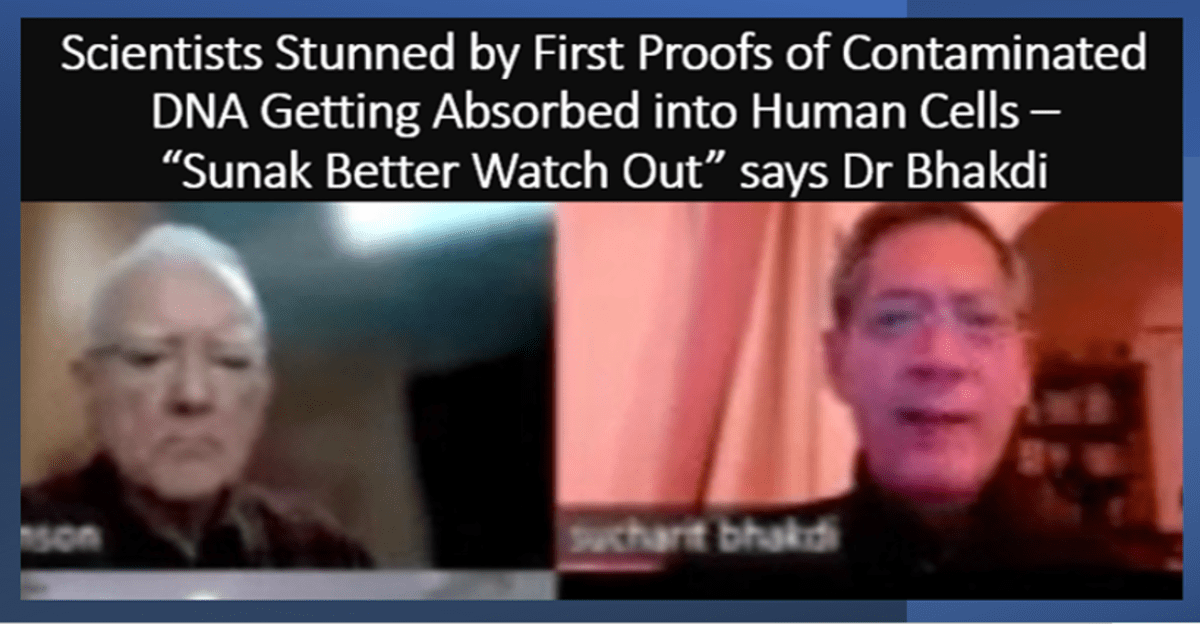 Scientists STUNNED by First Proofs of Contaminated DNA Getting Absorbed into Human Cells –“Sunak Better Watch Out” says Dr Bhakdi – The Expose