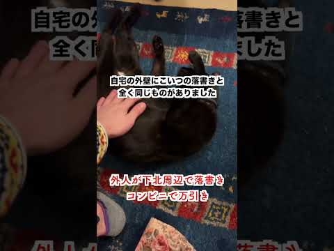 【怒り】外人が下北沢駅周辺でいたる所に落書き。コンビニでは万引きも。 - YouTube