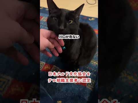 【トルコ政府】日本クルド文化協会とその代表を「テロ組織支援者」に認定。#クルド人 #クルド人問題 - YouTube