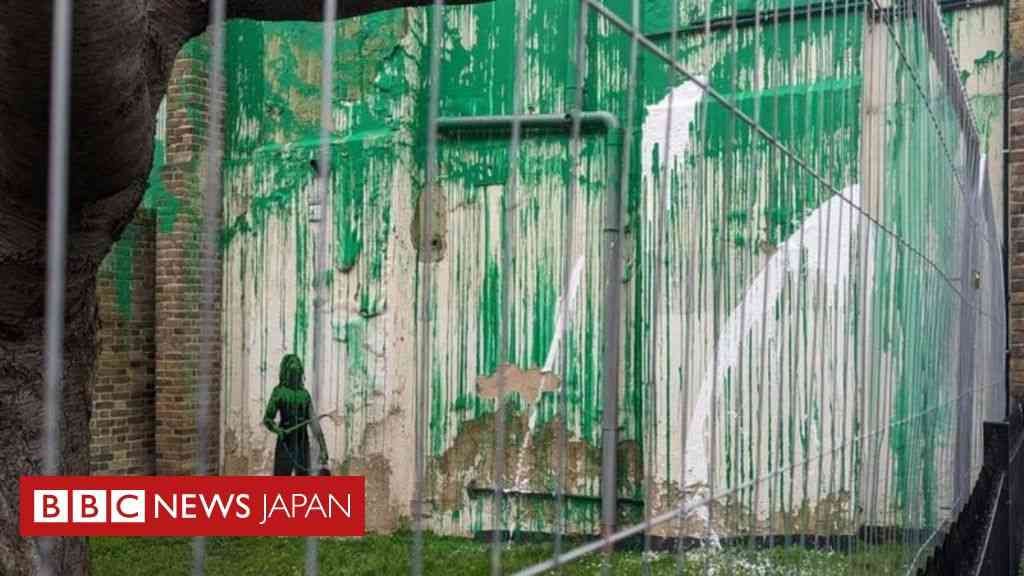 バンクシーの「木」の壁画、白い塗料で汚される　ロンドン北部 - BBCニュース