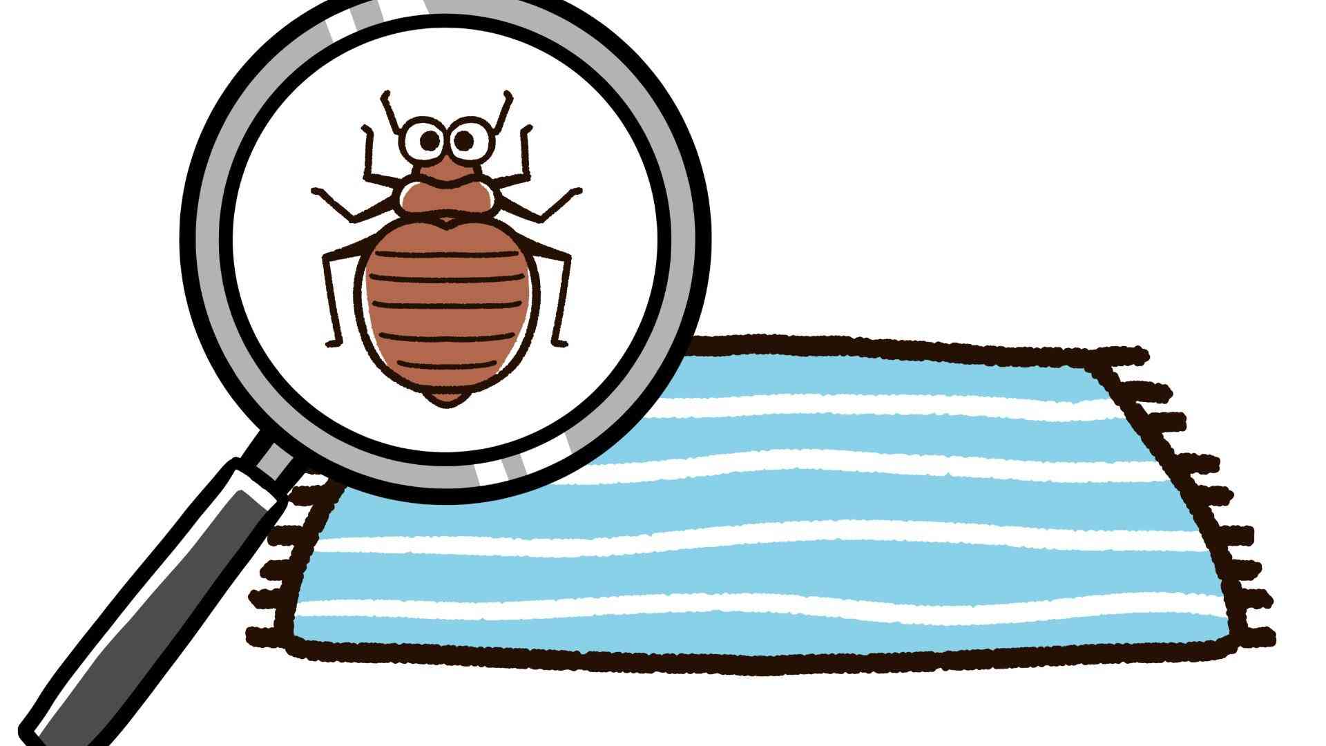 トコジラミいよいよ増加の季節到来。清潔上等、元祖・外来生物および薬剤耐性という今日的事情（坂東太郎） - エキスパート - Yahoo!ニュース