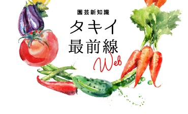 虫を虫で防ぐカギは多様な植物の混植にあり！ 露地野菜栽培における天敵昆虫活用の可能性 〜みどりの食料システム戦略へのアプローチとして〜 | 品種ピックアップ | 最前線WEB - タキイ種苗