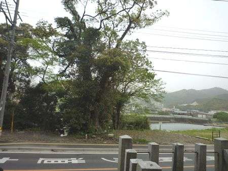 伏見神社（３）「伏見」の語源は「星の観察」・シリウスは地震津波を教える星だった : ひもろぎ逍遥