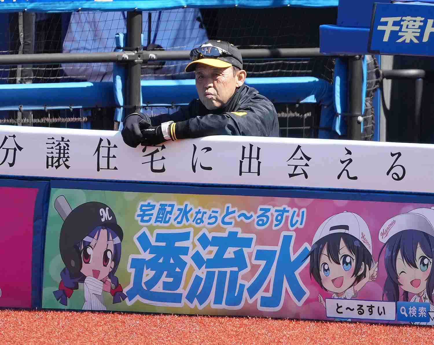 【阪神】ZOZOマリンの強風にシートノックも大混乱？フライ捕球に異例の拍手も起きる（日刊スポーツ） - Yahoo!ニュース
