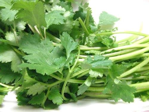 大好きな人に理由を聞いてみたい食べ物