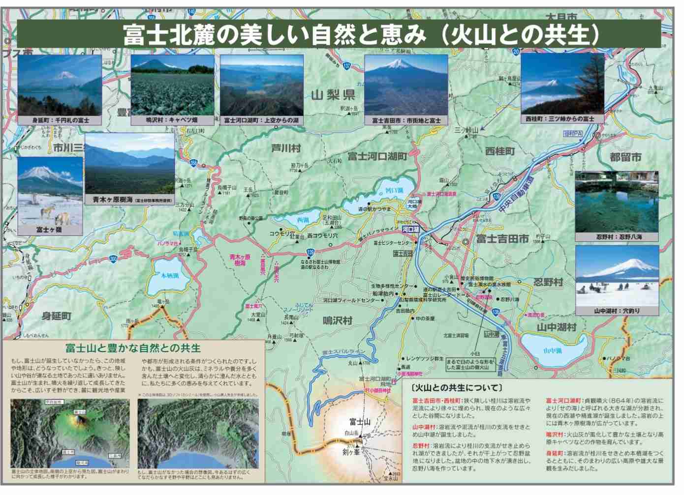 富士吉田市内、鳴沢村内及び富士河口湖町内における野生きのこの採取、出荷及び摂取の自粛について(2019年7月26日） | 内部被ばくと健康被害 | 内部被ばくを考える市民研究会