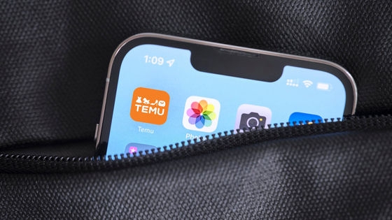 中国の通販サービス「Temu」は広告に4400億円近くを費やしておりMetaではトップの広告主・Googleではトップ5の広告主の1つになっている - GIGAZINE