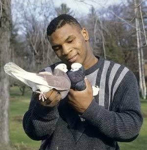 若い頃カッコ良かった有名人