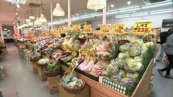 【速報】レタス6割高にんじんキュウリも約3割高…続く深刻な野菜値上がり　来週以降徐々に安くなる見込み｜FNNプライムオンライン