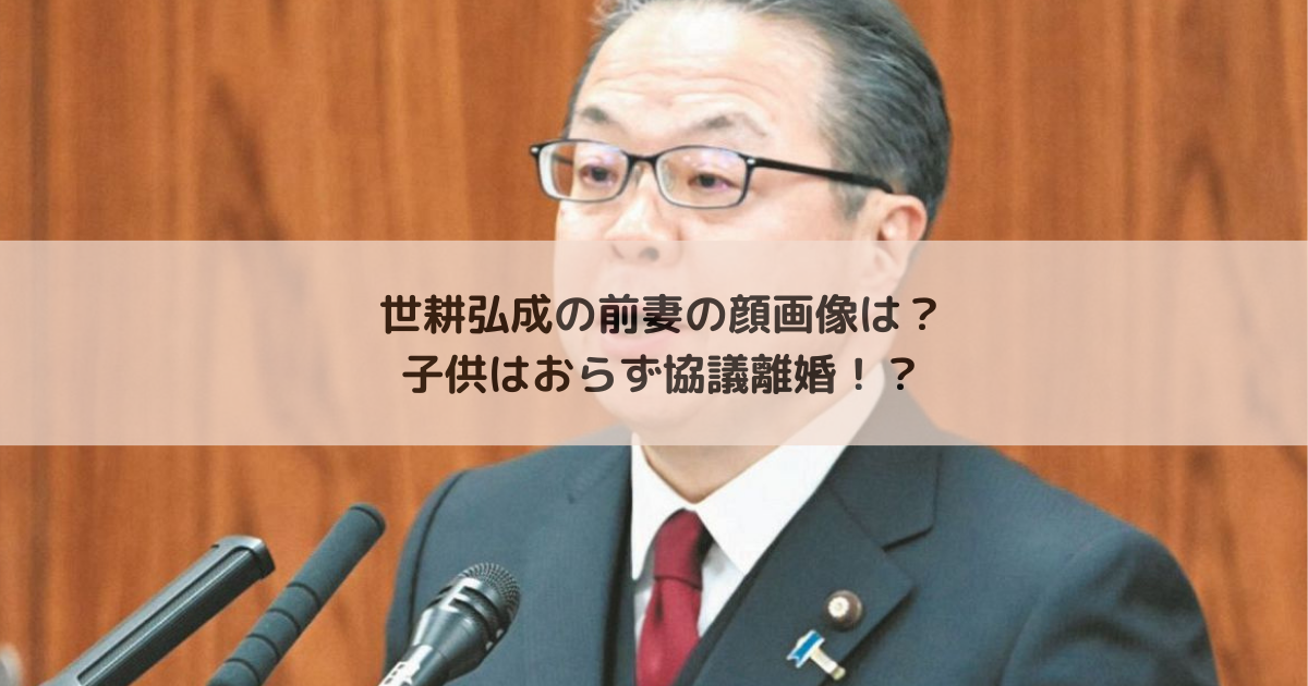 世耕弘成の前妻の顔画像は？子供はおらず協議離婚だった！？ 