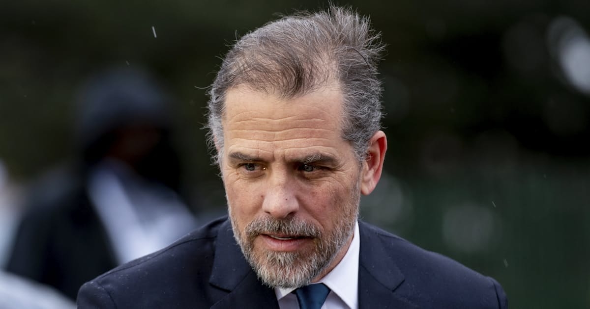 バイデン大統領の息子、有罪を認める　米報道 - 日本経済新聞