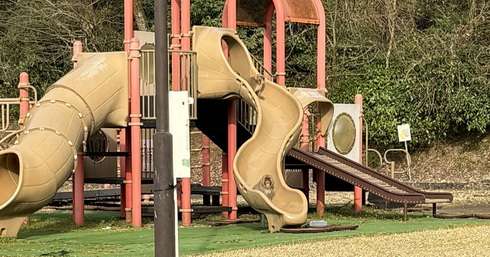 「公園来たらめっちゃ猿遊んでた」　サル山と化した遊具に「滑り台使えない」「ご安全に」