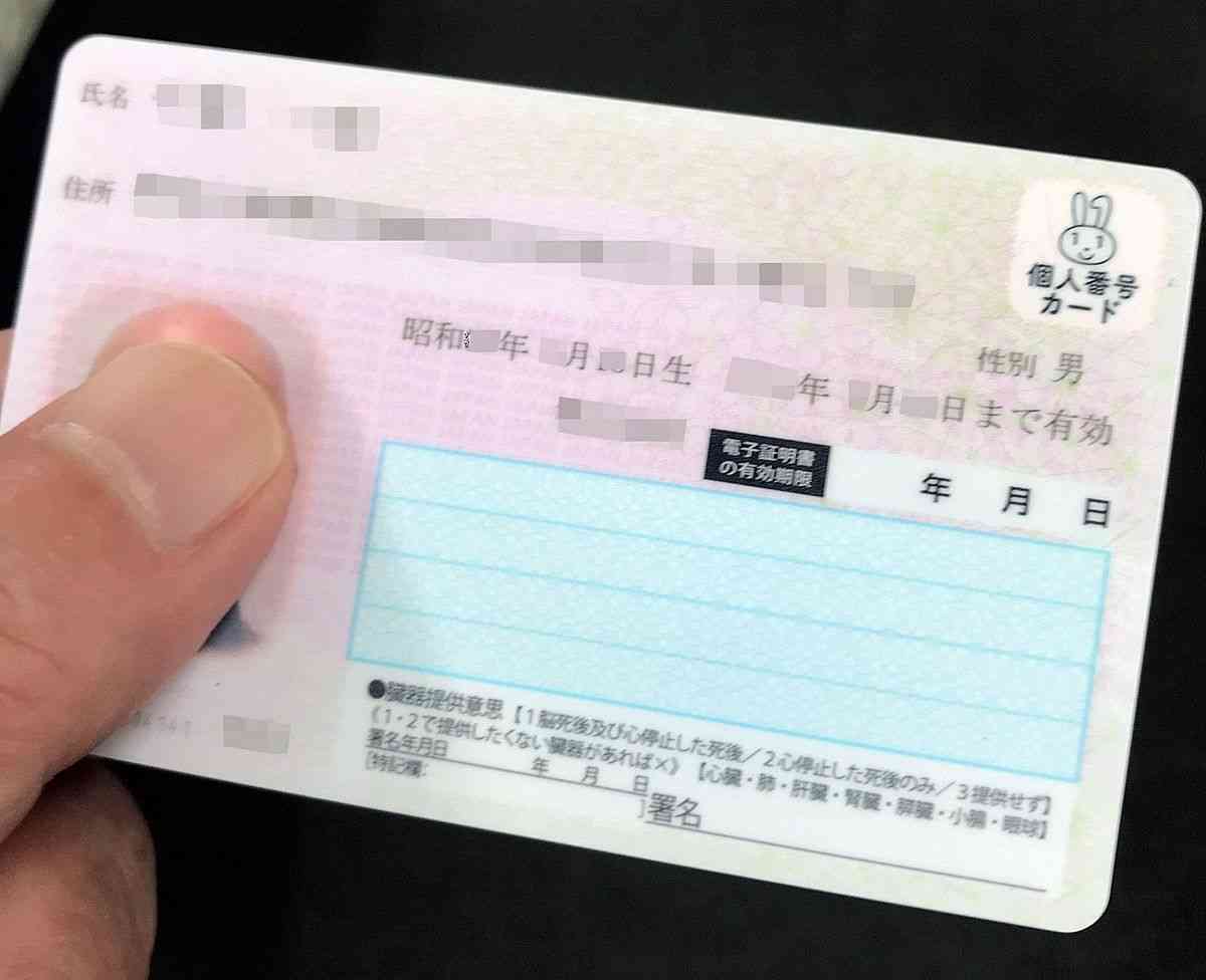 混乱必至…保険証に代わる｢保険証もどき」まで乱立　いったい何種類あるの？：東京新聞 TOKYO Web