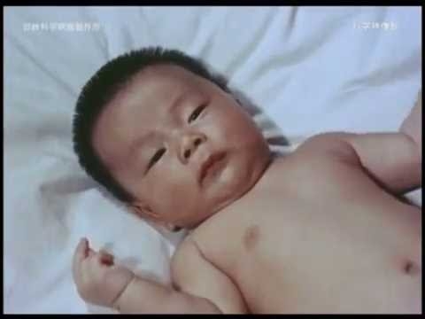 受胎の神秘 　日映科学映画製作所 - YouTube