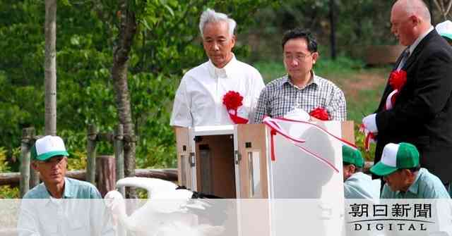 コウノトリ、列車にひかれて死ぬ　兵庫、国内最長ペアのメス：朝日新聞デジタル