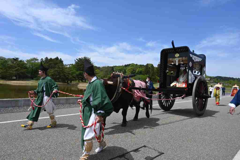 2024年5月 春の藤原まつり 出演者が発表されました | ヒライズミーツ Hiraizu-meets