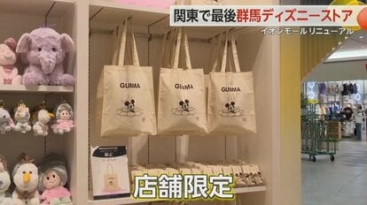 「30年間待っていた」群馬県初の「ディズニーストア」オープン　整理券求め“5時間待ち”…一方、限定品の転売も
