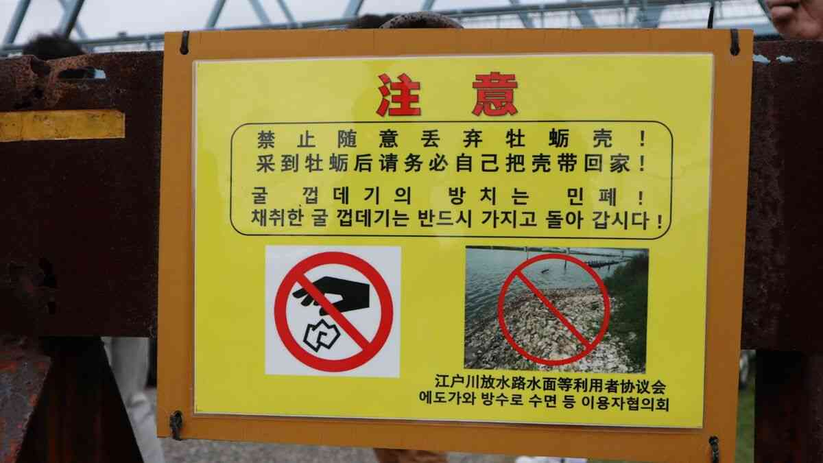 ｢自分が中国人でいたくない｣謎の中華系グループが江戸川で
