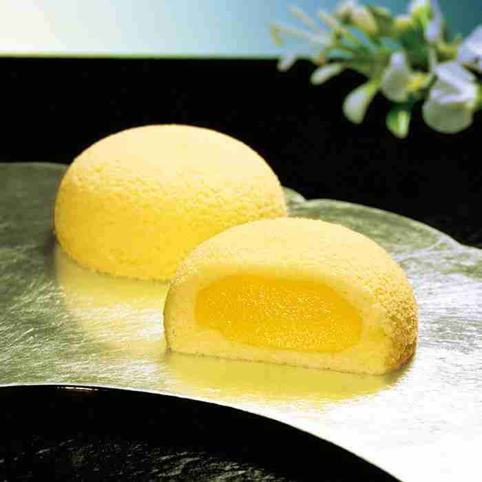 日本人宇宙飛行士2人が月面へ 月面探査車で1カ月生活も アルテミス計画