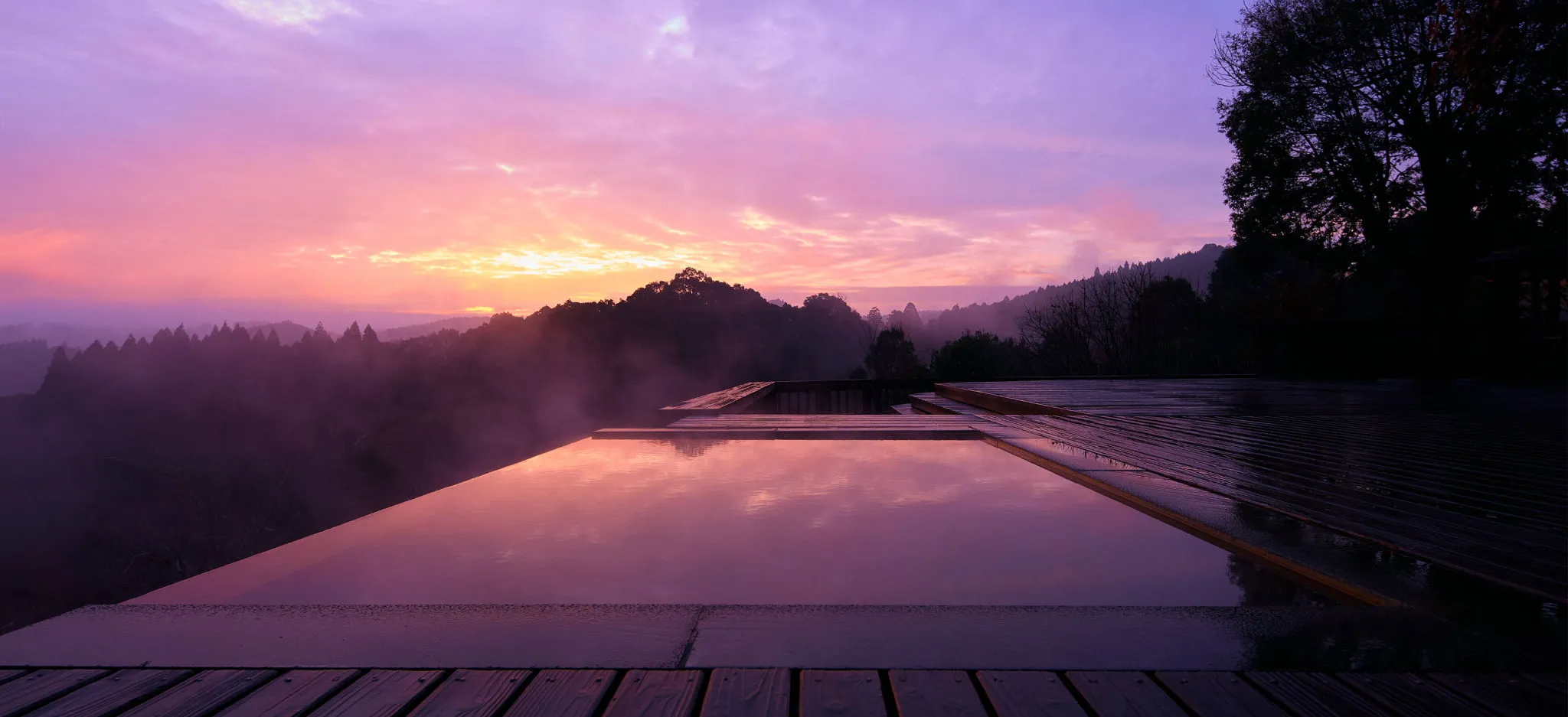 TENKU｜天空の森の写真（画像） - ホテル・旅館の宿泊予約はRelux（リラックス）