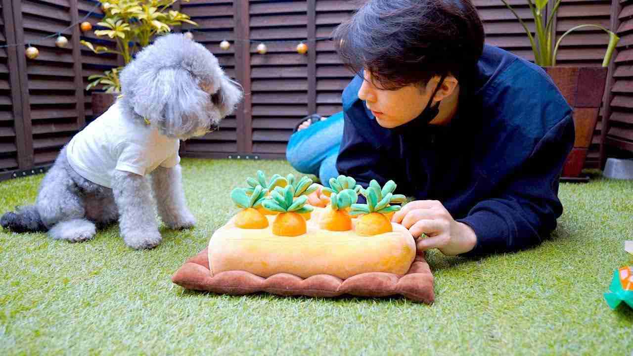 実用性ほぼ無いけど、ちょっと欲しいなと思ったもの