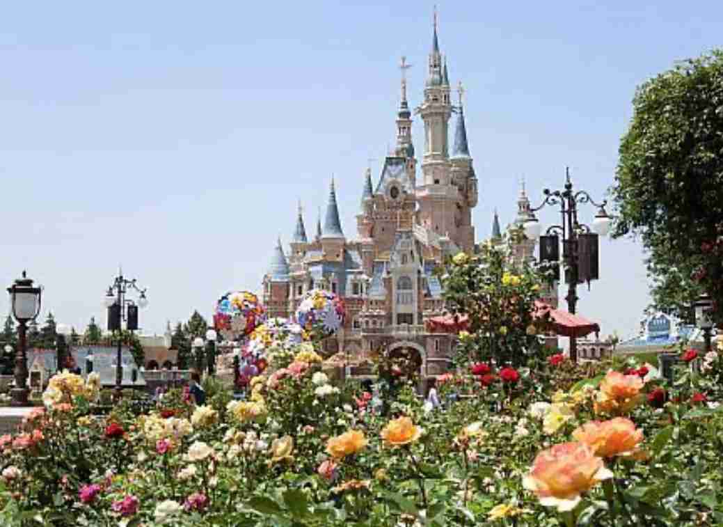 【国内】テーマパークのマナー違反【海外】