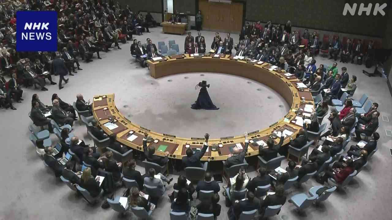 パレスチナの国連加盟めぐる決議案 アメリカが拒否権行使 否決 | NHK | イスラエル・パレスチナ