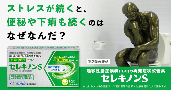 セレキノンS　過敏性腸症候群（IBS）の再発症状改善薬