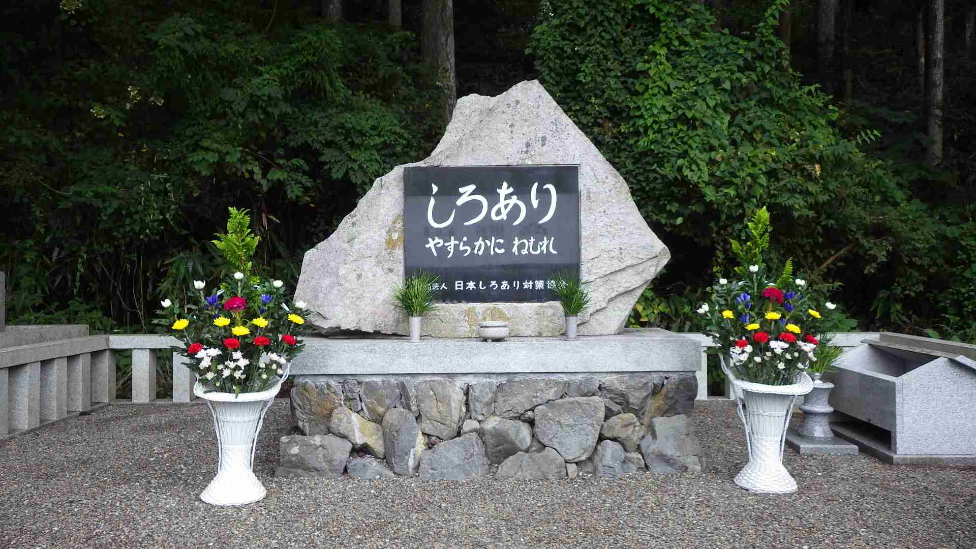 2600人の町に観光客140万人が殺到　インフラ維持の限界、高野山に「入山税」導入へ