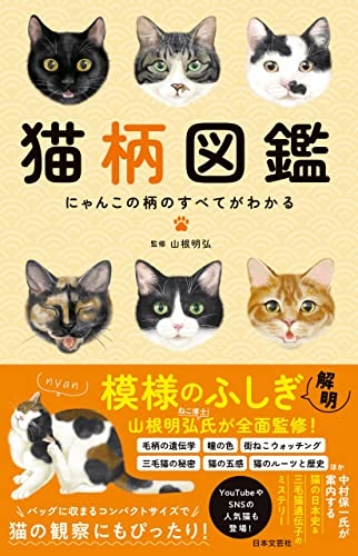 “教授と飼い猫”の普通のプロフィールだと思ったら… 思わぬ真実が460万表示「猫が支配する世界線があったのか」「勘違いしてました」