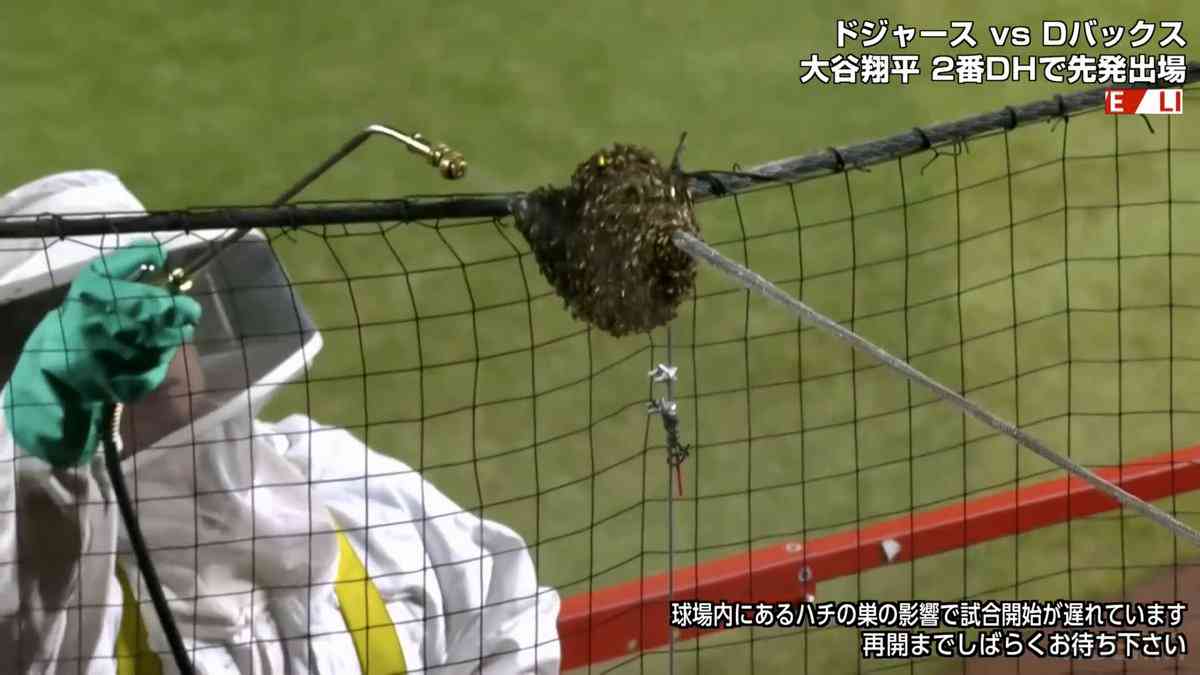 ドジャース戦で蜂駆除員が急遽始球式に登板! 試合中止を救う作業、異例の大歓声「俺たちのヒーローだ!」